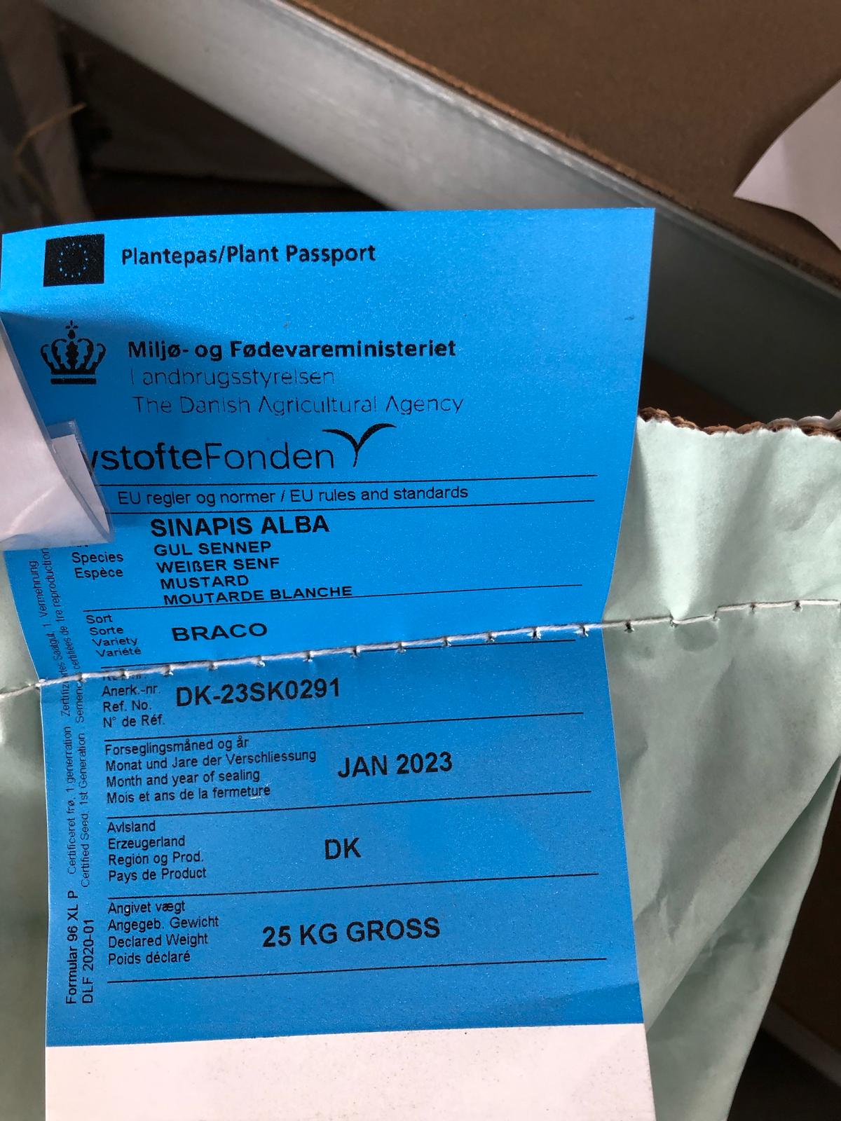 Gelbsenf (auch weißer Senf)
